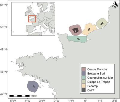 Going digital: challenges in monitoring marine megafauna when comparing results from visual and digital aerial surveys